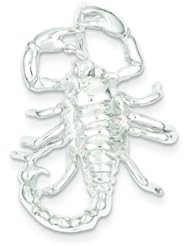 Sterling Silver Scorpion Charm & 18" Chain