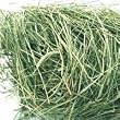 Oxbow Western Timothy Hay - 25 lbs Oxbow Western Timothy Hay - 25 lbs