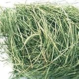 Oxbow Western Timothy Hay (50-lb bag)