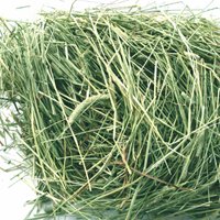 Oxbow Western Timothy Hay - 25 lbs