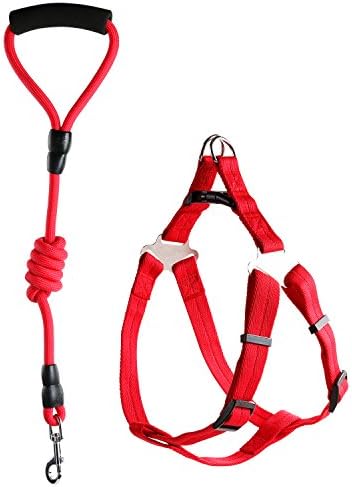 Petlucky Harness Lead -- 2 IN 1 No-Pulling Pet Harness and Leash for Medium dogs (M)