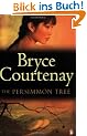 The Persimmon Tree