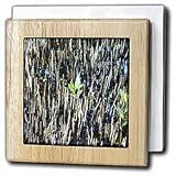 Florene Plant - Baby Mangroves - Tile Napkin Holders