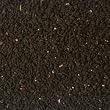 Nigella Seeds By ChefShop