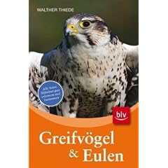 Greifv�gel und Eulen: Alle Arten Mitteleuropas erkennen und bestimmen