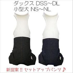 �y���̕� full of vigor�z�C���i�[�t���f�j���p���c�y�ԕi�����s�z