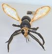 Wasp Giant Latex