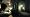 Dark Sector