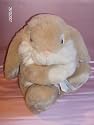 Bunny Rabbit soft toy