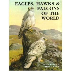 Eagles, Hawks and Falcons of the World