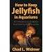 How to Keep Jellyfish in Aquariums: An Introductory Guide for Maintaining Healthy Jellies