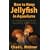 How to Keep Jellyfish in Aquariums: An Introductory Guide for Maintaining Healthy Jellies