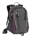  : JanSport Air Odyssey II Backpack (Light Purple Passion)