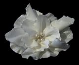 Wedding Flower Ivory Jeweled Crystal & Pearl Silk Gardenia Hair Clip Bridal Hair Accessory