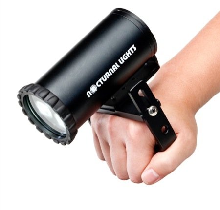 black friday price Nocturnal Lights 