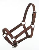 Royal King Miniature Leather Halter - Brown - Large