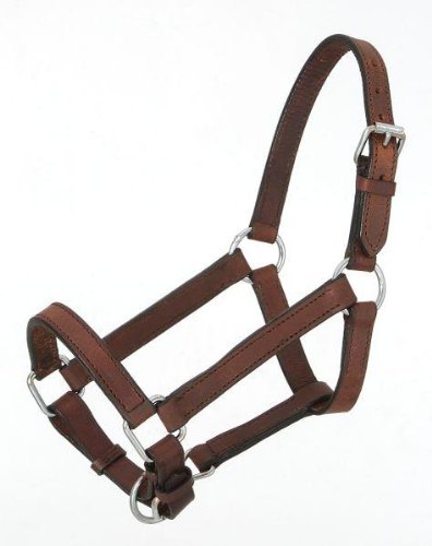 Royal King Miniature Leather Halter - Brown - Large