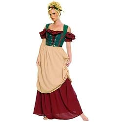Renaissance Lady Costume Adult - Adult Medium