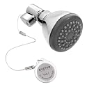 evolve Chrome Tree Frog Showerhead - 3.25"