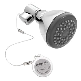 evolve Chrome Tree Frog Showerhead - 3.25"