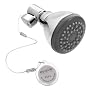 evolve Chrome Tree Frog Showerhead - 3.25"