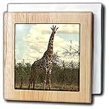 Wild animals - Giraffe - Tile Napkin Holders