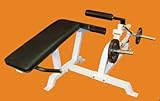 Bio Leg Curl Machine