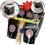 Cats - Siamese Cat - Coffee Gift Baskets - Coffee Gift Basket