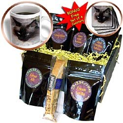 Cats - Siamese Cat - Coffee Gift Baskets - Coffee Gift Basket by Decaf Espresso Roast