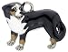 Bernese Mountain Dog Enameled Keychain w/ 5 Charms