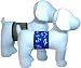 Belly Bands for Male Dogs with Incontinence Problems - Print