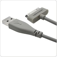 Lenmar CAAP6FTG 30-Pin 6-Feet Connector to USB Cable - Retail Packaging - Gray