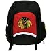 Chicago Blackhawks - Logo Dome Backpack