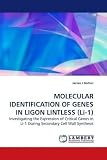 MOLECULAR IDENTIFICATION OF GENES IN LIGON LINTLESS (Li-1): Investigating the Expression of Critical Genes in Li-1 During Secondary Cell Wall Synthesis