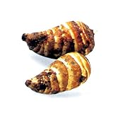 料亭を思わせる上品な味わい　えび芋　300g(里芋種)