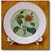 Sunflowers - sunflower, tournesols, still life, helianthus annuus, flowers, flower, petals - 8 Inch Porcelain Plate