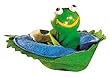 K�the Kruse - 0460410 - FIP Frosch im Teich