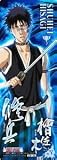 BLEACH THE CARD GUM (�֥꡼�� ���������ɥ���) ��11�� ��Ǯ������� ��No.9 �غ��ڽ�ʼ��(����)