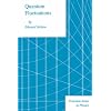 Quantum Fluctuations (Princeton Series in Physics)