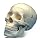 Budget Life-size Skull