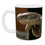 Lizard - Mug - Standard Size