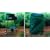Round Barbecue Cover - Fits most round/kettle BBQs