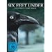Six Feet Under - Gestorben wird immer, Die komplette Staffel 4 [5 DVDs]