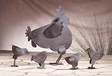 Rusted Metal Hen Family