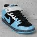 NIKE SB【ナイキSB】Dunk Mid Pro SB 314383-041