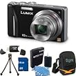 Panasonic Lumix DMC-ZS8 14MP Black Digital Camera w/ 16x Zoom 16GB Bundle