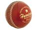 GRAY-NICOLLS Hurricane Leder Cricketball