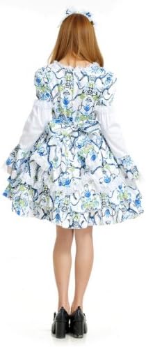 Blooms Lolita Classical Women Lace Dress (Large, White)