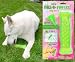 Fill-n-Freeze Dog Bone - Large