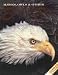 Hawks, Owls & Other Birds of Prey